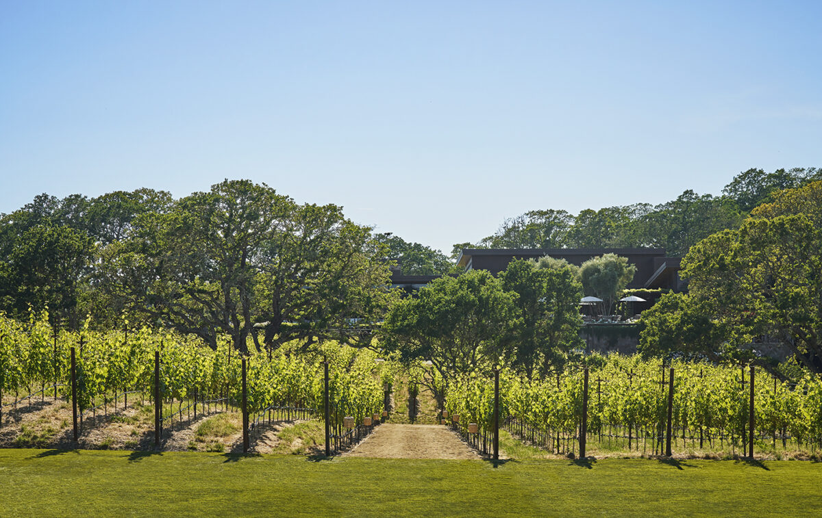 Montage Healdsburg Surveyor Wines. (Christian Horan/Courtesy Montage Healdsburg)