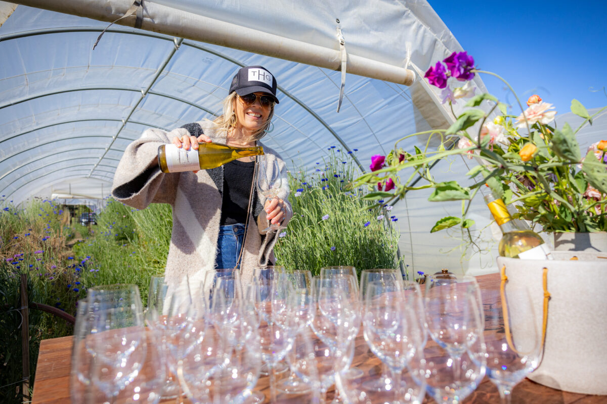 Passport to Dry Creek Valley.