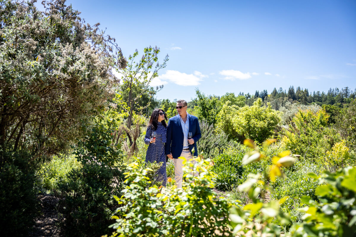 Passport to Dry Creek Valley.