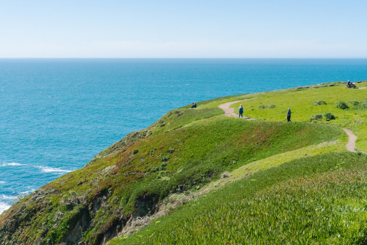 Bodega Head in Sonoma Coast State Park. (Mariah Harkey/Sonoma County Tourism)