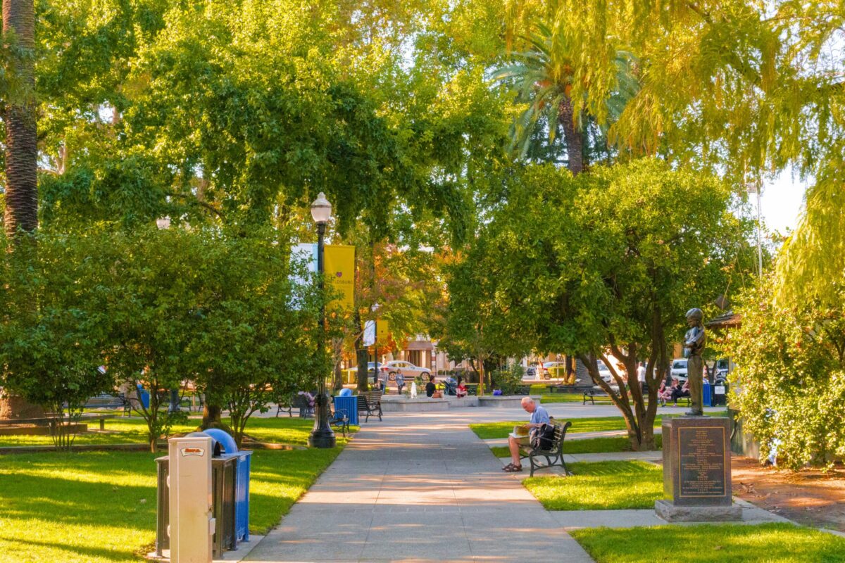 The Healdsburg Plaza. (Mariah Harkey / Sonoma County Tourism)