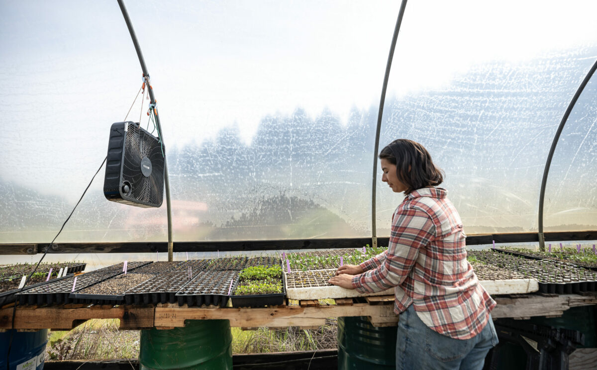 Farmer Alice Tibbets of Fledgling Farm at Green Valley Farm + Mill near Sebastopol March 25, 2024. (Chad Surmick / The Press Democrat)