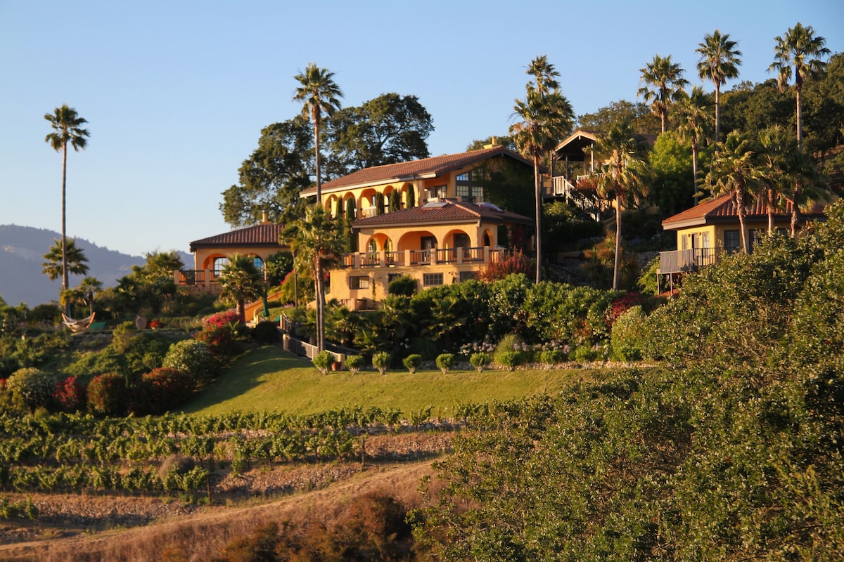 Villa and vineyard. (Vrbo)