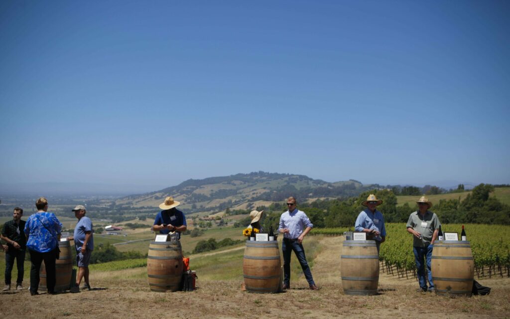 A special event celebrating the creation of the Petaluma Gap AVA was held at the Gap's Crown Vineyard in Penngrove. (CRISSY PASCUAL/ARGUS-COURIER STAFF)