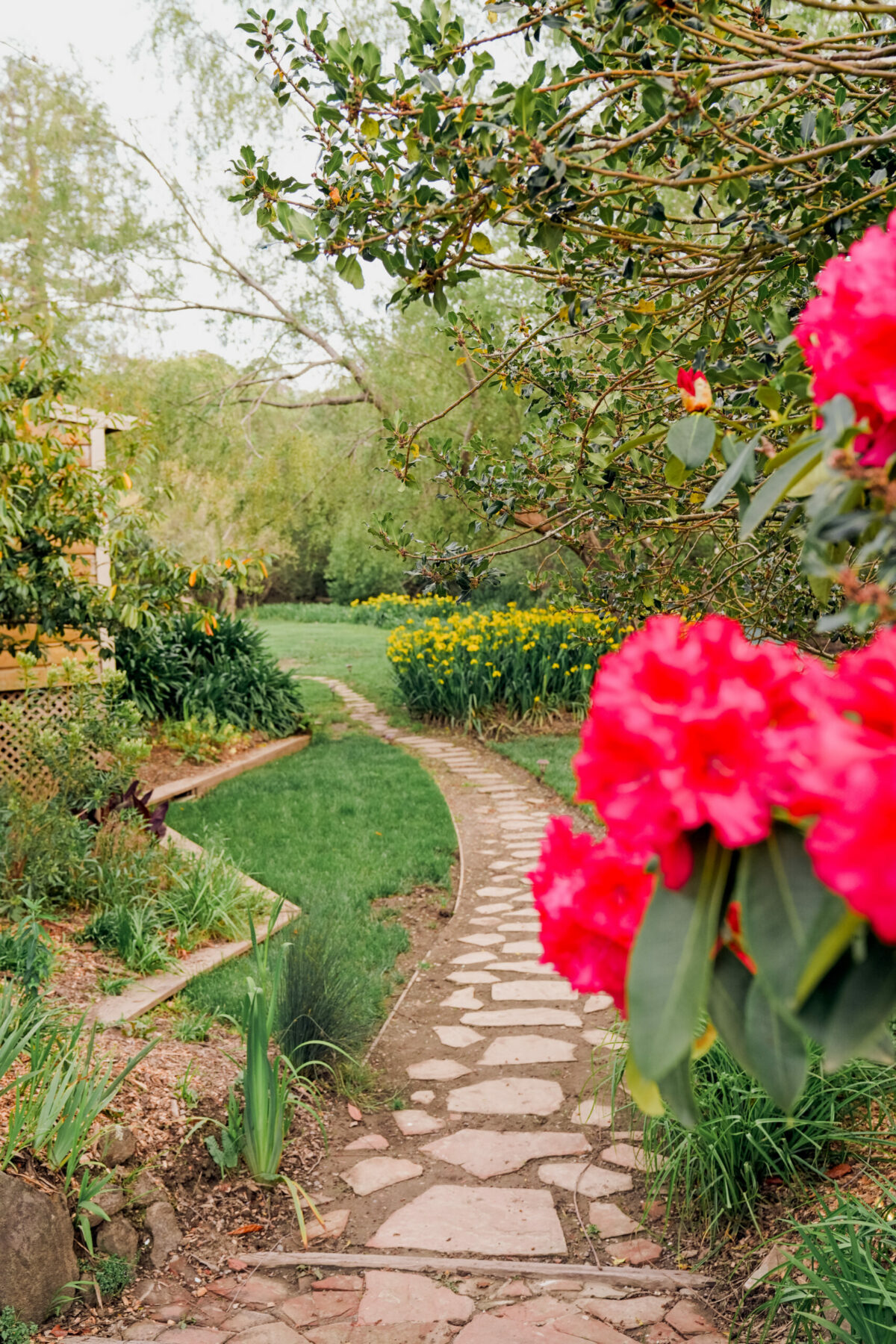 (Roxanne McClure Photography)