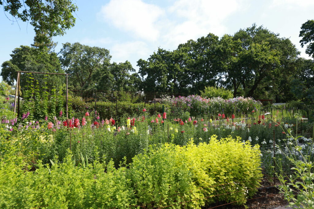 Florist Kari Copple garden