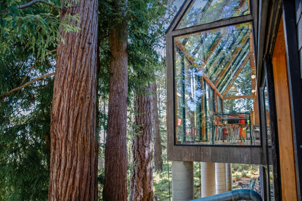 An area of the great room is surrounded in windows and juts out toward the trees and view. (Jim Nevill Productions)