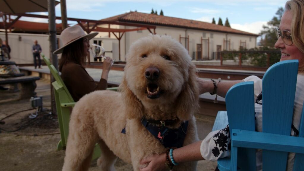 Lord Sandwich of Smith Story Wines at Bacchus Landing in Healdsburg