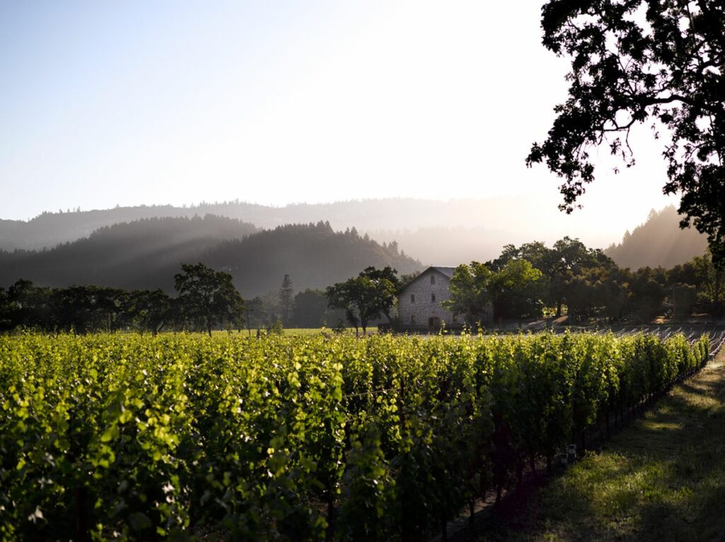 Ehlers Estate vineyards in St. Helena