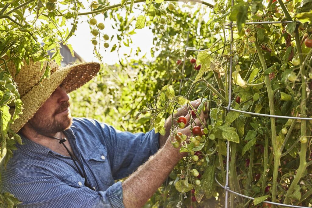 Stanly Ranch onsite garden in Napa