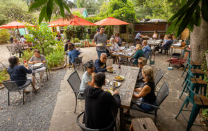 If your heading out to the coast the Wild Poppy offers a creekside, dog-friendly patio with music for brunch on the weekends Saturday, July 13, 2024 on the Bodega Hwy west of Sebastopol. (Photo by John Burgess/The Press Democrat)