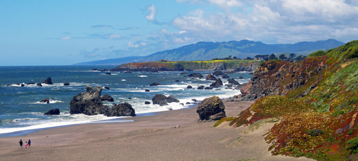 Portuguese Beach at Sonoma Coast State Park. (Sonoma County Tourism)