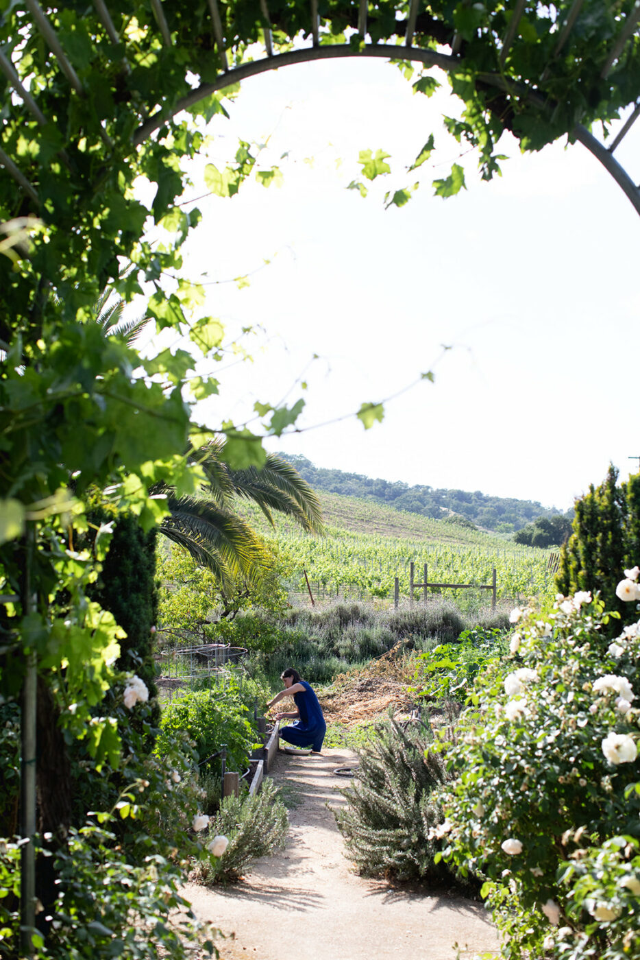 Cloverdale chef Josh Chandler garden