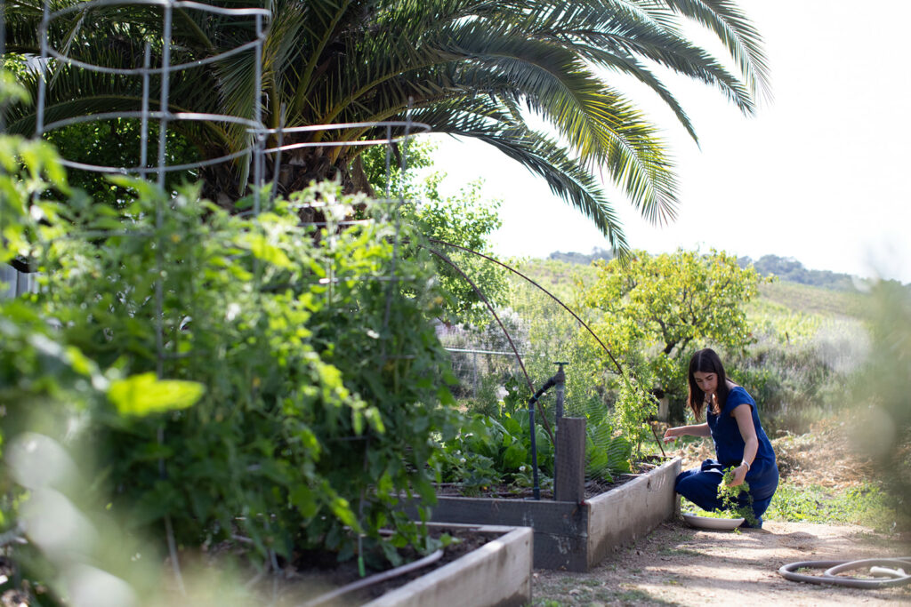 Cloverdale chef Josh Chandler garden