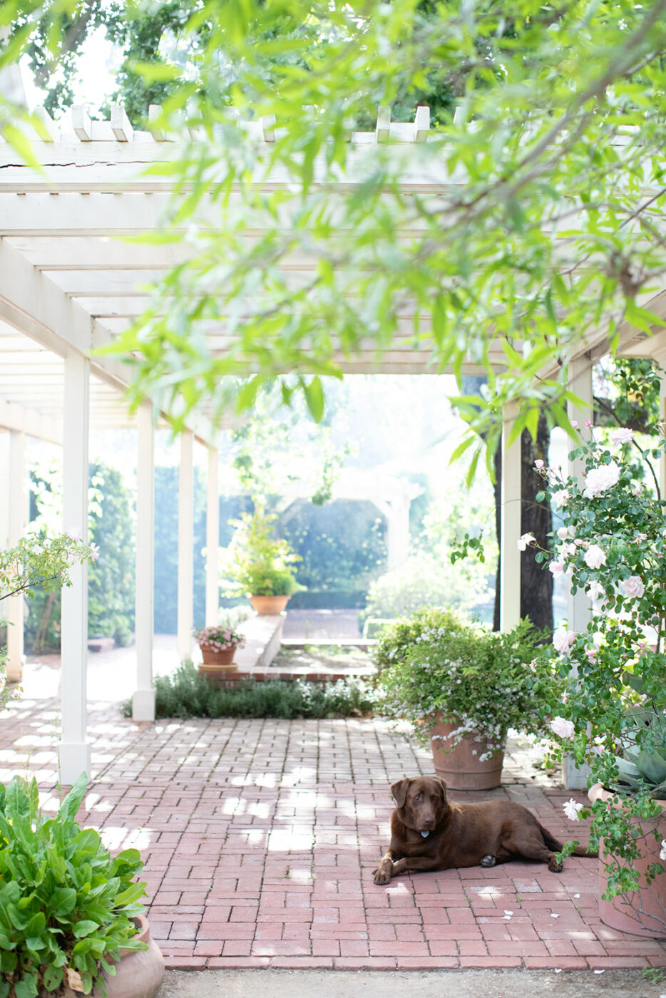 Chef Josh Chandler Cloverdale home