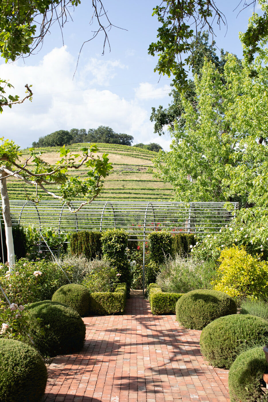 Cloverdale chef Josh Chandler garden