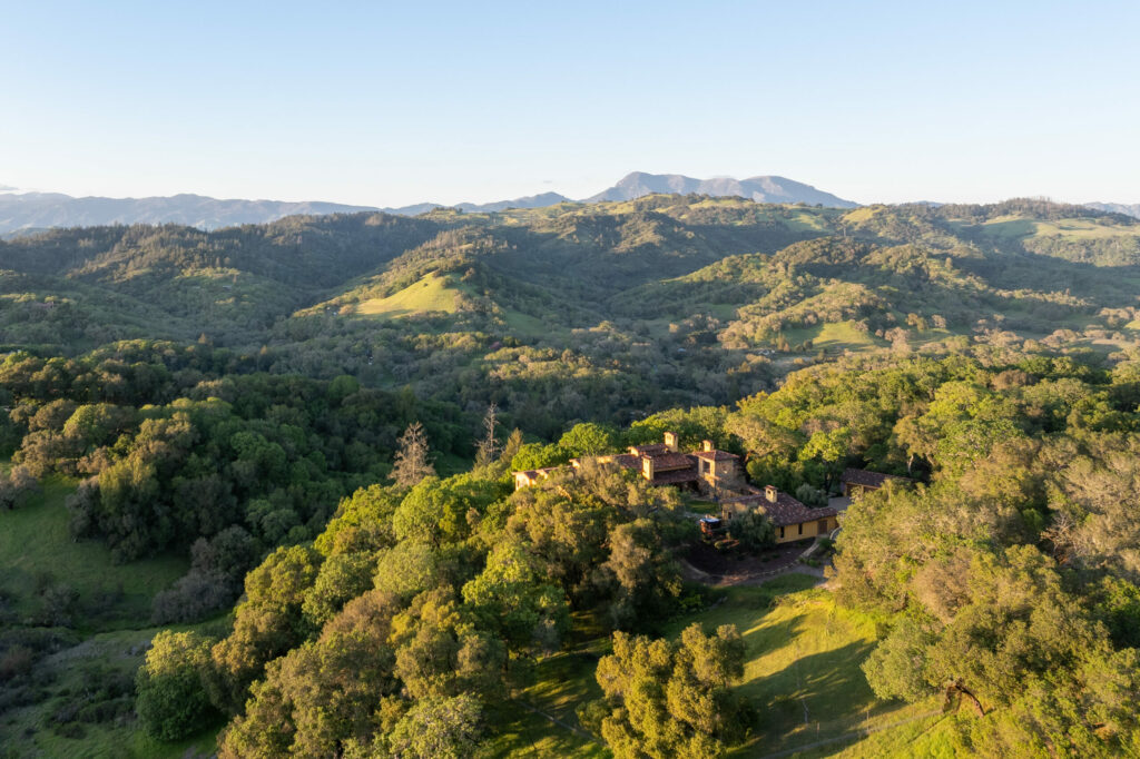 The home sits on 19 acres in a dense surround of trees. (Adam Potts)