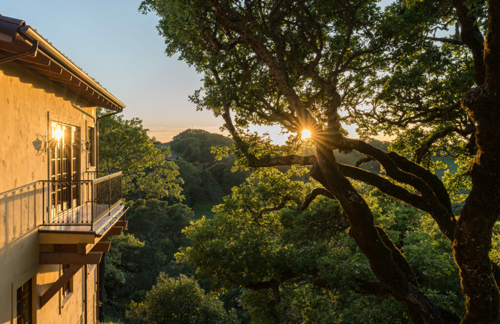 Balcony with tree views. (Adam Potts)