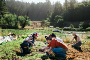 Climate Farm School in Sebastopol