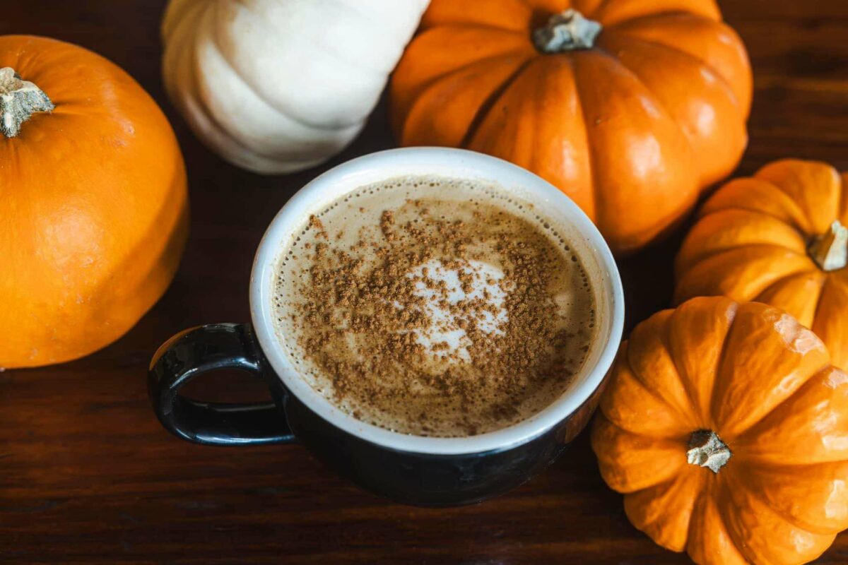 Taylor Lane pumpkin spice latte