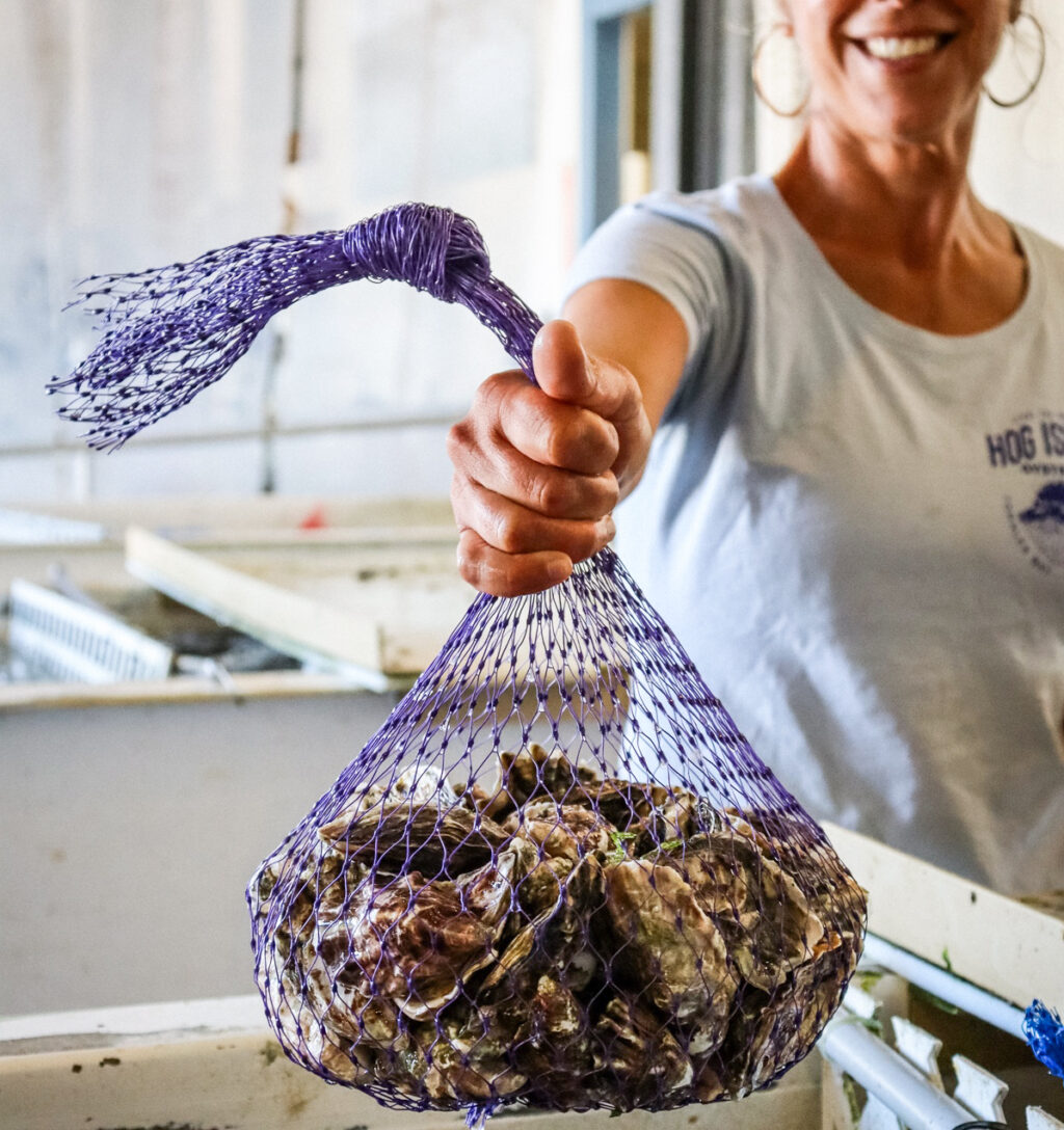 oysters from Hog Island Oyster Co.