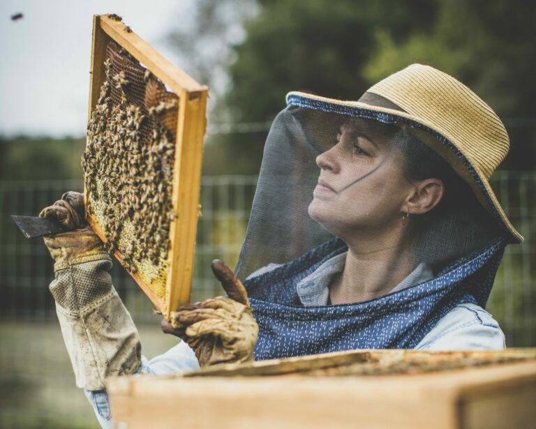 Candice Koseba, Sonoma County Bee Company owner