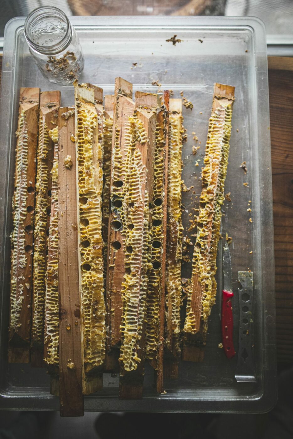 Wooden bars like these sit inside the hive; bees build the comb down from the top, using the bar as an anchor. (Bryan Meltz/Sonoma Magazine)