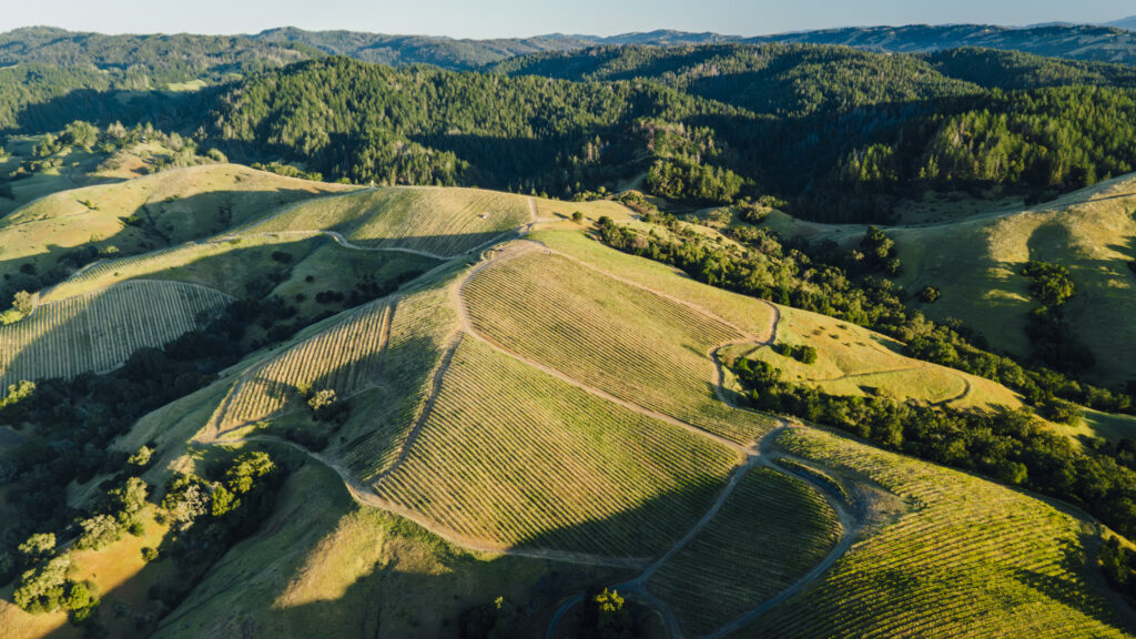 Las Cimas vineyard near Healdsburg. (Courtesy Joshua Harding)