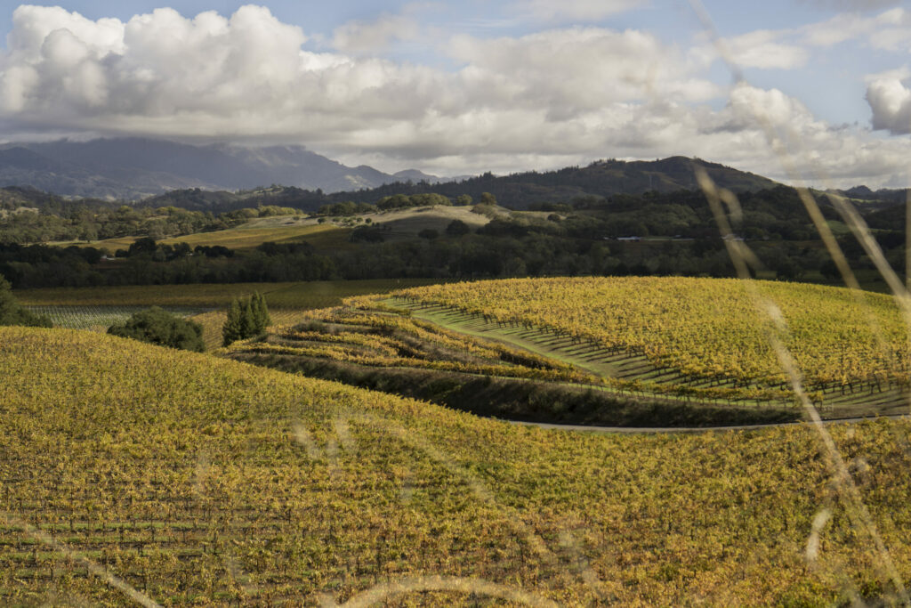Stuhlmuller Vineyards near Healdsburg. (Mack Lucid/Courtesy Stuhlmuller Vineyard)