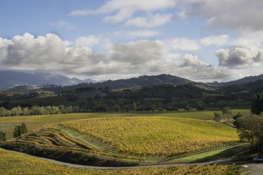 Stuhlmuller Vineyards near Healdsburg. (Mack Lucid/Courtesy Stuhlmuller Vineyard)