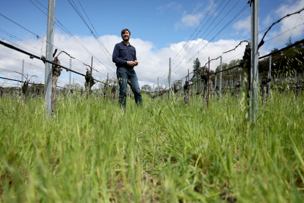 Ames Morison, co-founder of Medlock Ames winery, is the first to teach a wine education course in Spanish at the Odyssey Wine Academy in Healdsburg. (Beth Schlanker / The Press Democrat)