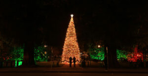 Healdsburg Plaza is aglow Thursday, Dec. 22, 2022, with holiday colors. (Kent Porter / The Press Democrat) 