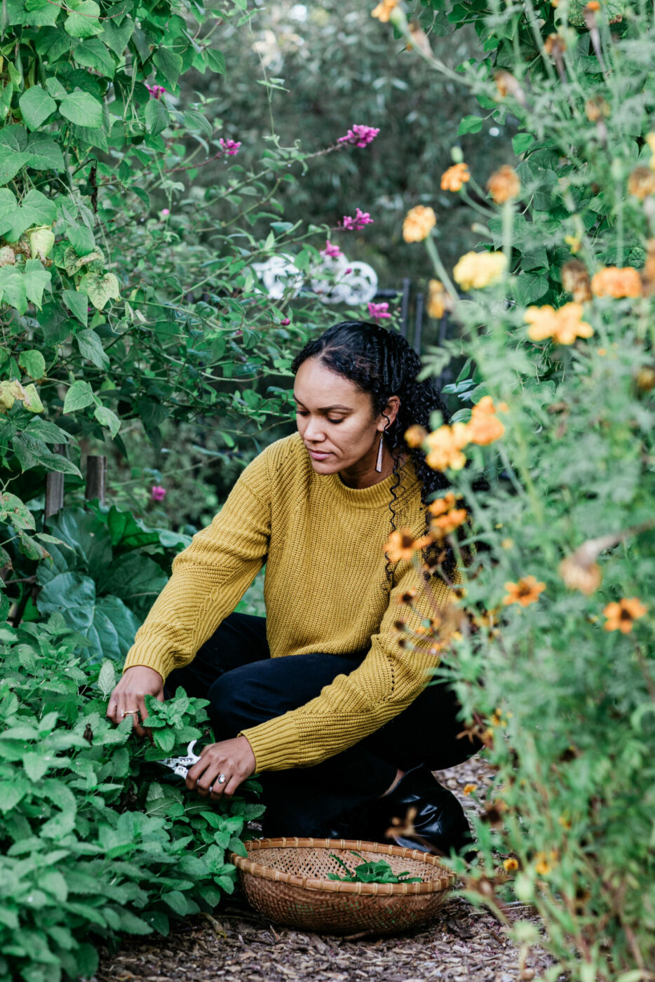 Jennifer Ilonzeh forages for herbs for her wellness teas at local farms and in the gardens of her friends. She has even traveled to the Sierra to gather ingredients. (Eileen Roche/Sonoma Magazine)