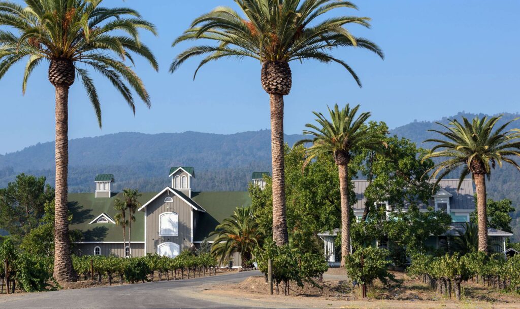 Corison winery near St. Helena in Napa Valley. (Robert McClenahan / for Corison Winery)