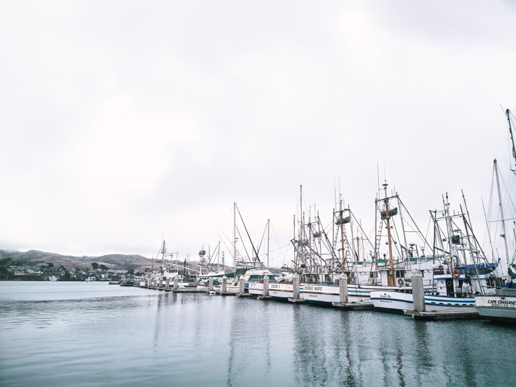Fishing boats at Spud Point Harbor in Bodega Bay. (Kim Carroll/Sonoma Magazine)