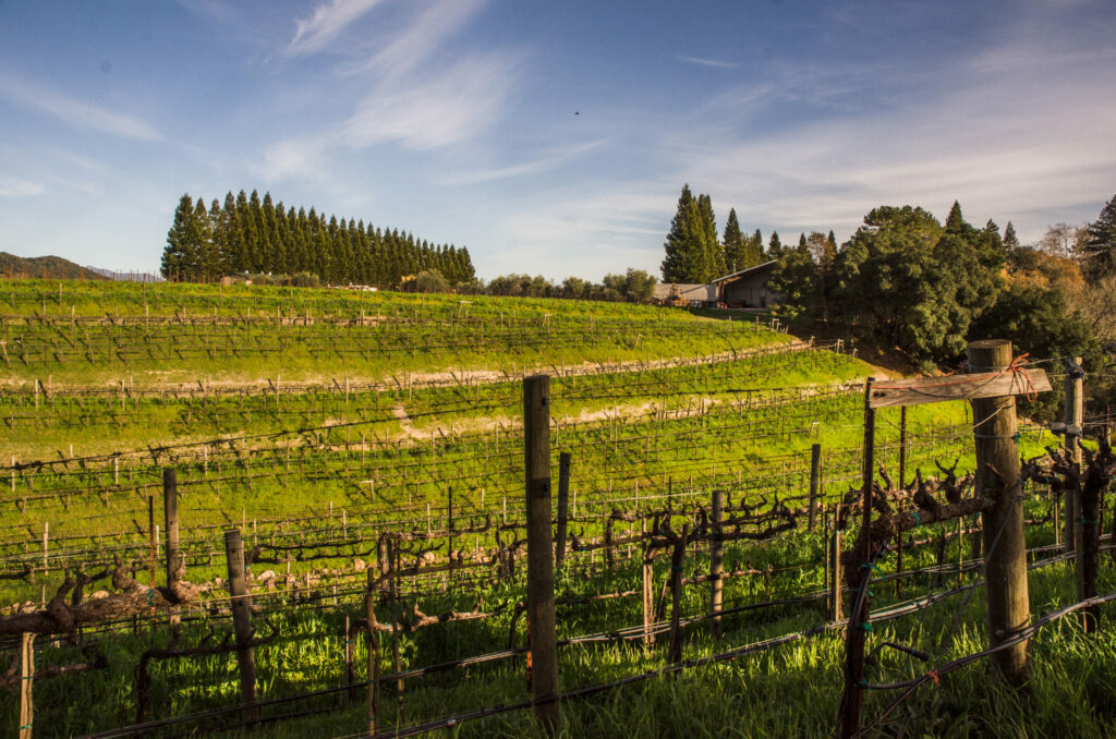 Unti Vineyards in Healdsburg. (Unti Vineyards)