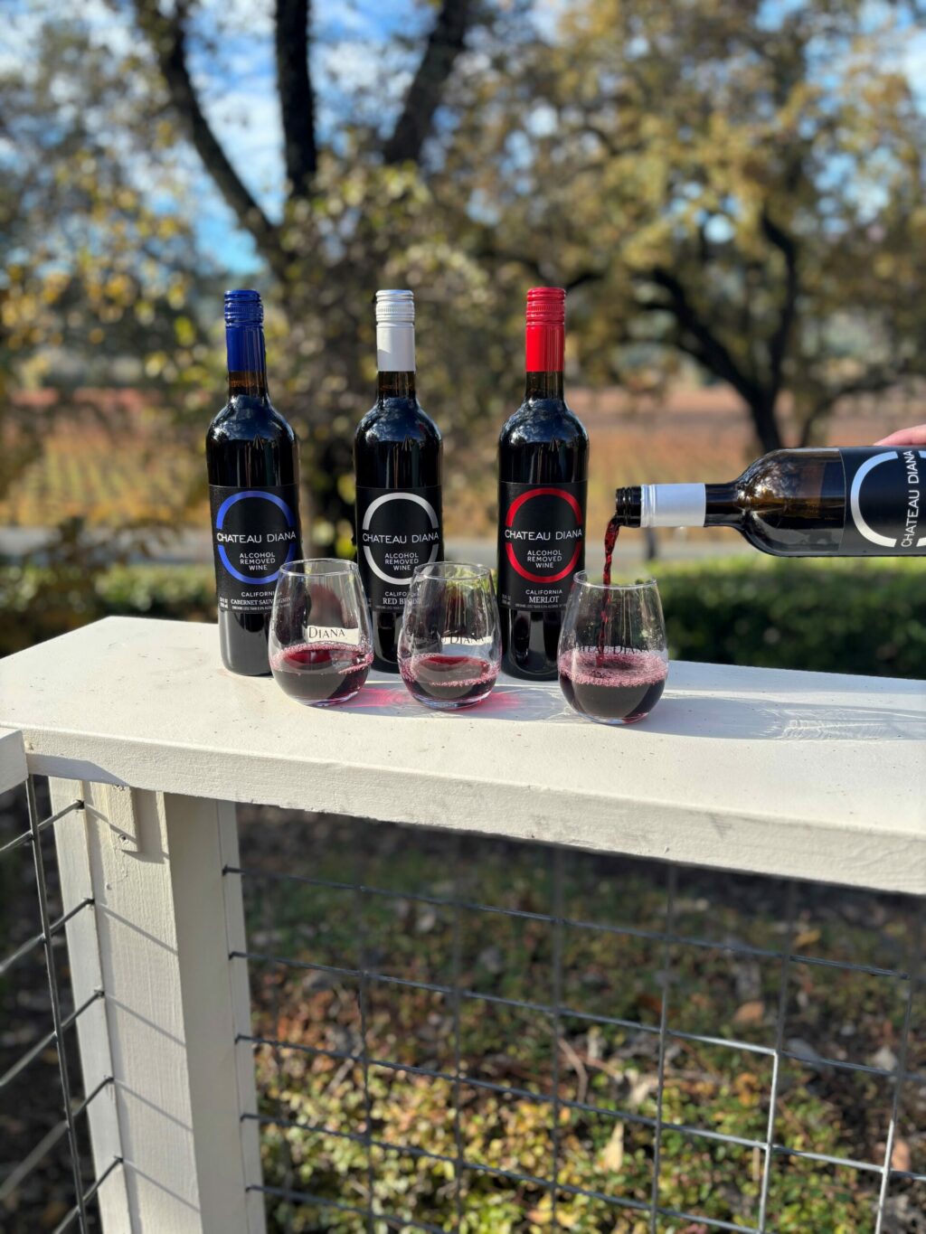 Chateau Diana in Healdsburg produces two entire collections of zero-proof (0.5%) and low-alcohol (6%) selections. Sippers cover all the favorites, such as Cabernet Sauvignon, Chardonnay, Pinot Grigio, Merlot, and red and white blends. (Courtesy of Chateau Diana)