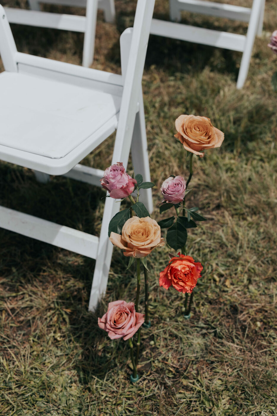 Longstemmed roses were “planted” in the grass along the aisle. (Amy DeBonis)