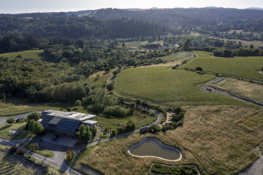 Gold Ridge Estate and the Pinot vineyard at Littorai Wines in Sebastopol. (Littorai Wines)