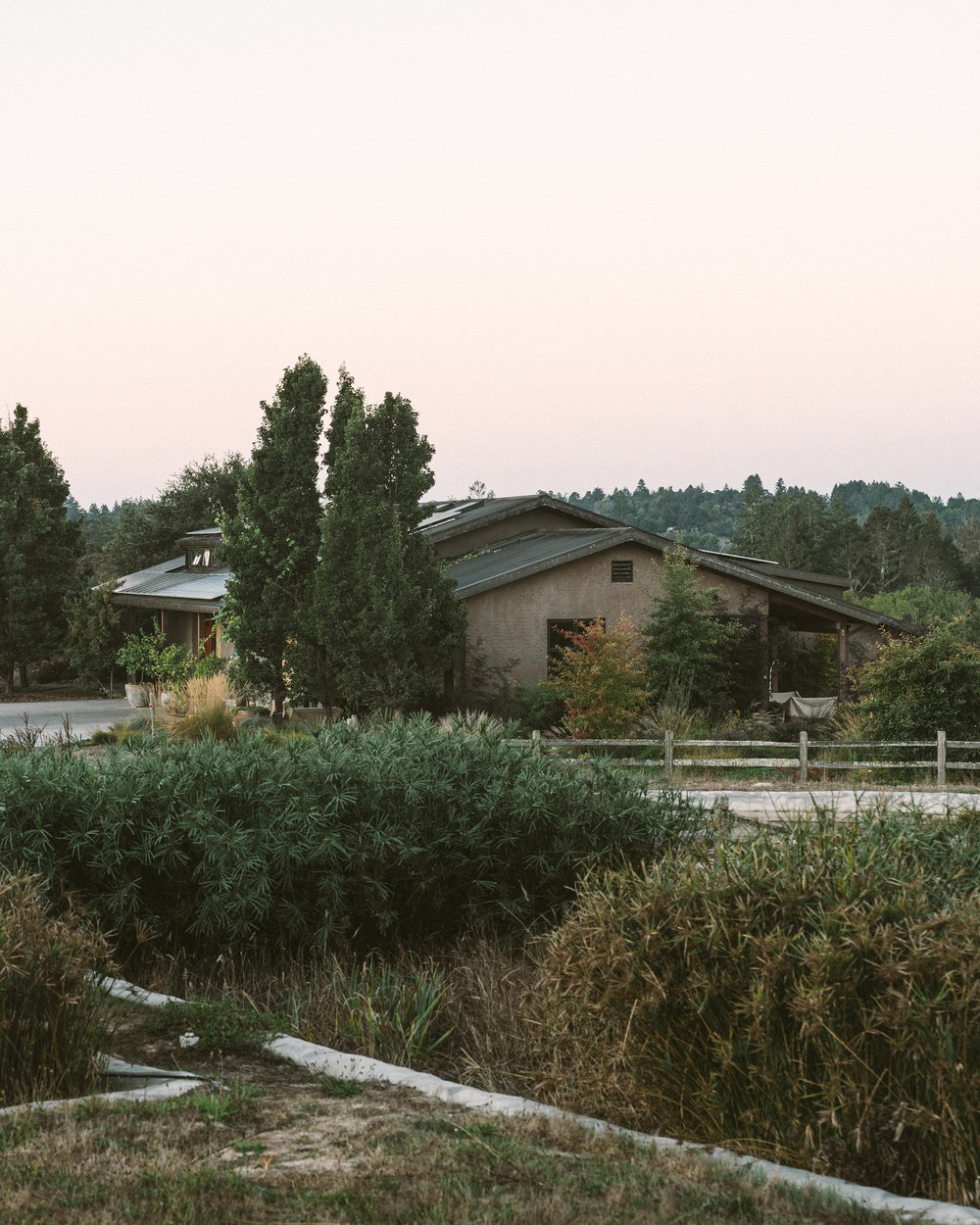 Littorai Winery and constructed wetlands in Sebastopol. (Littorai Wines)