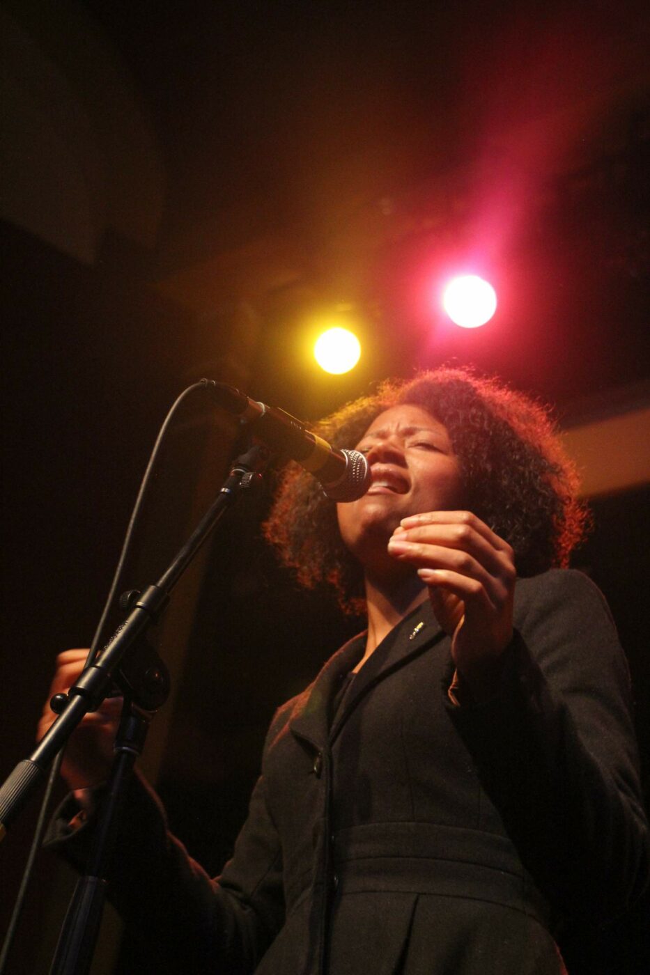 Adam Theis & Jazz Mafia play a benefit concert with The Petaluma High School Jazz Ensemble at The Mystic Theater on January 1, 2015. Pictured is Jazz Mafia's guest vocalist, Tiffany Austin. (Victoria Webb/For The Argus-Courier)