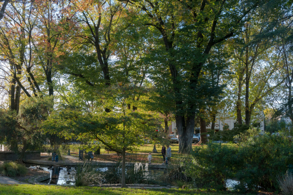 People by the pond at the Sonoma Plaza in downtown Sonoma. (Courtesy of Sonoma County Tourism)