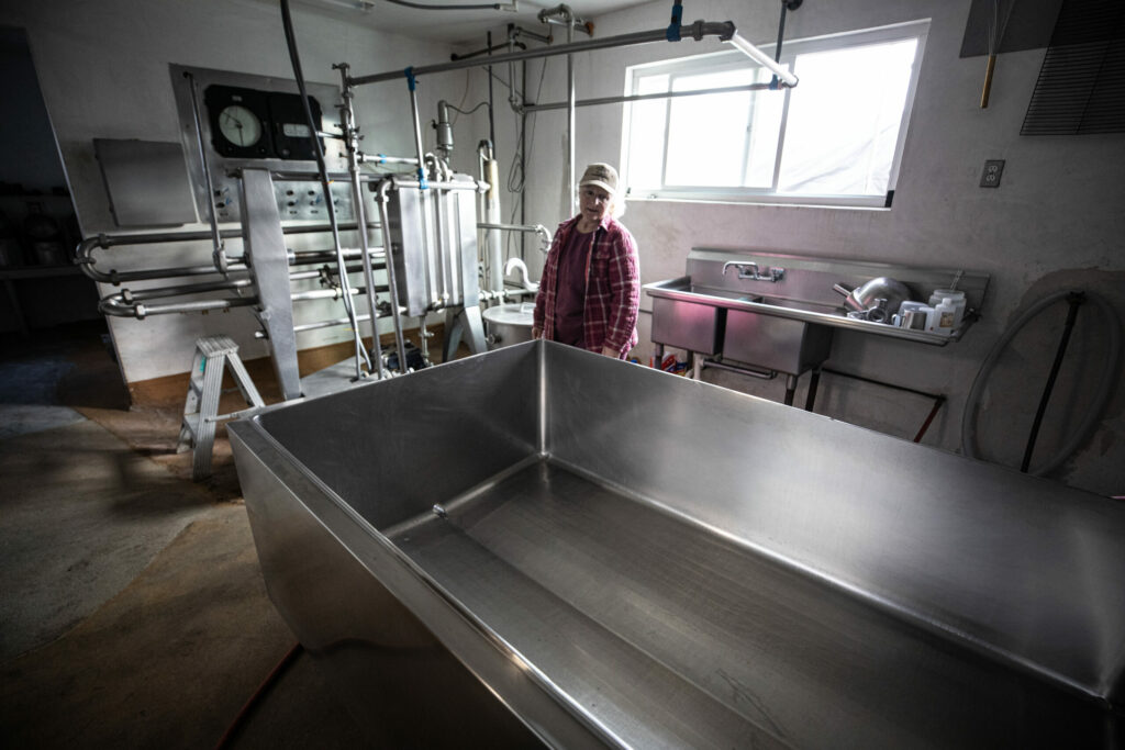 Sylvia Tucker looks over the shutdown production facility at Joe Matos Cheese and Farmstead Co. After selling their remaining inventory, the 45-year-old cheesemaking operation will officially close Jan. 31. Wednesday January 29, 2025. (Chad Surmick / The Press Democrat)