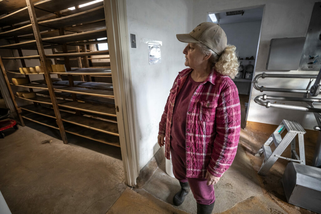 Sylvia Tucker looks over the shutdown production facility at Joe Matos Cheese and Farmstead Co. After selling their remaining inventory, the 45-year-old cheesemaking operation will officially close Jan. 31. Wednesday January 29, 2025. (Chad Surmick / The Press Democrat)