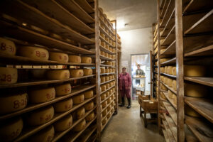 Sylvia Tucker looks over the shutdown production facility at Joe Matos Cheese and Farmstead Co. After selling their remaining inventory, the 45-year-old cheesemaking operation will officially close Jan. 31. Wednesday January 29, 2025. (Chad Surmick / The Press Democrat)