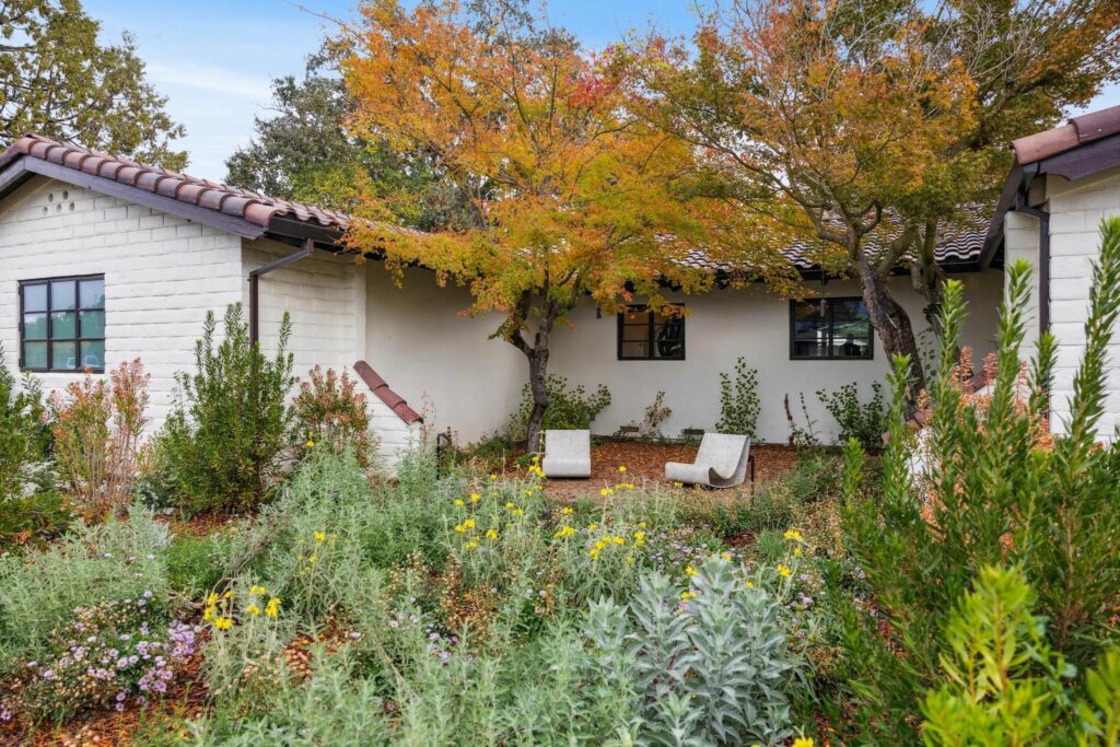 Yard. (Cindy Loughridge)