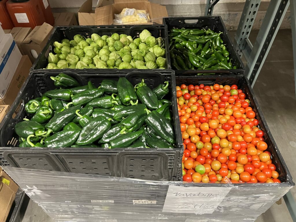Produce to be donated to the Redwood Empire Food Bank, grown by the horticulturists at Novavine, a plant nursery in Sonoma County. (Redwood Empire Food Bank)