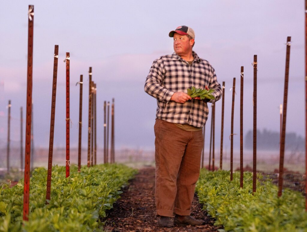 William Henpenn at his organic, 7-acre Umbel Roots Farm in Petaluma. (John Burgess)