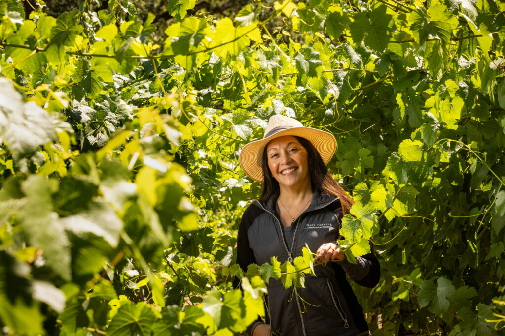 Gary Farrell winemaker Theresa Heredia is looking at a later harvest date for Pinot Noir and Chardonnay grapes compared with last year at their Russian River vineyards Thursday, July 13, 2023. (John Burgess/The Press Democrat)