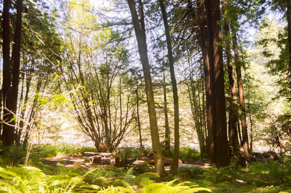 A rest stop along the Red Hill and Pomo Canyon trail loop at Sonoma Coast State Park near Jenner. (Sierra Downey / Sonoma County Tourism)